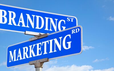 Best Practices In Branding Lead to More Leads: A Case Study