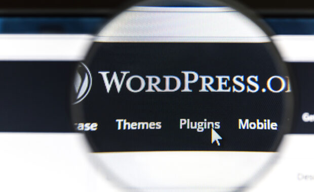 Image of Wordpress menu